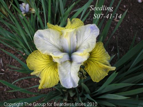 S07- 41-14